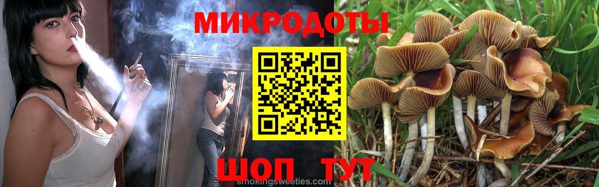 Псилоцибиновые грибы прущие грибы Среднеуральск